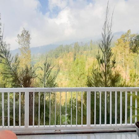 Delvia Bromo Homestay Mitra Reddoorz パスルアン エクステリア 写真