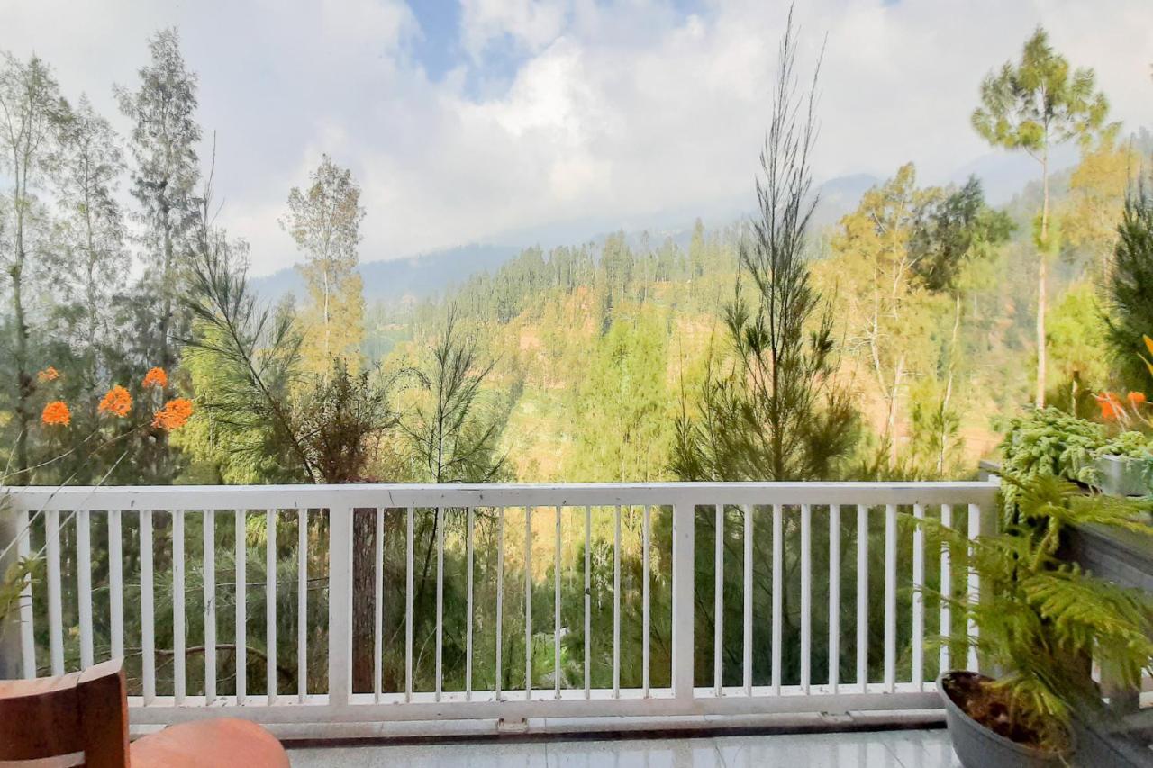 Delvia Bromo Homestay Mitra Reddoorz パスルアン エクステリア 写真
